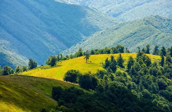 Graswiese am Berg im Sommer — Stockfoto