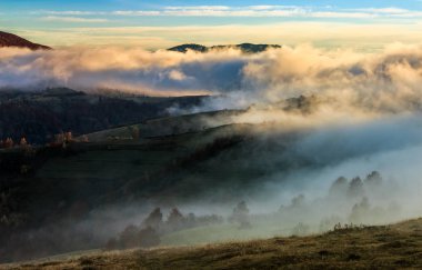 sisli sonbahar sabahı dağ kırsal alanda