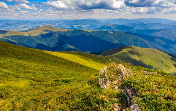 Prado con rocas en las montañas de los Cárpatos en verano — Foto de Stock