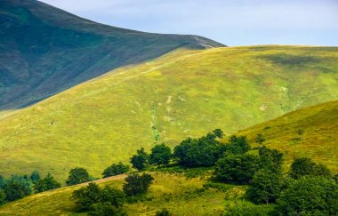 çimenli tepe yaz aylarında dağ üzerinde