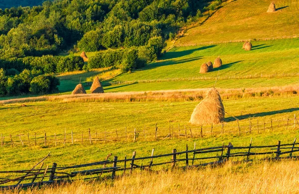 Høystakker og trær på en eng i fjellsiden – stockfoto