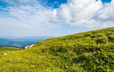 dağ aralığının yamaca yaz çayır
