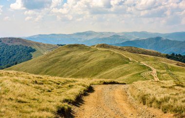 bir çayır dağ sırtı on yol
