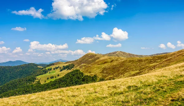 Karpaterna bergsryggen i slutet av sommaren — Stockfoto