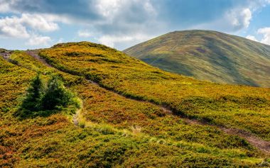 dağ sırtı meadows yol