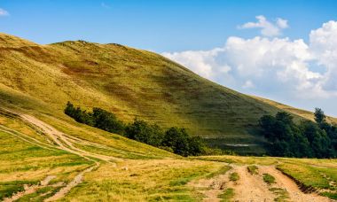 dağ sırtı meadows yol