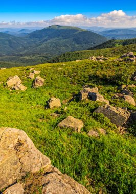 Yaz aylarında Karpat Dağları'nda kayalar ile çayır