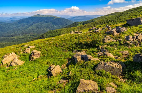 Prado com pedras nas montanhas dos Cárpatos no verão — Fotografia de Stock