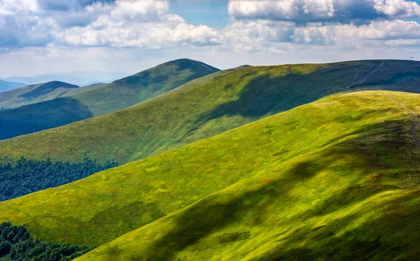 geç yaz aylarında dağ yamaçlar