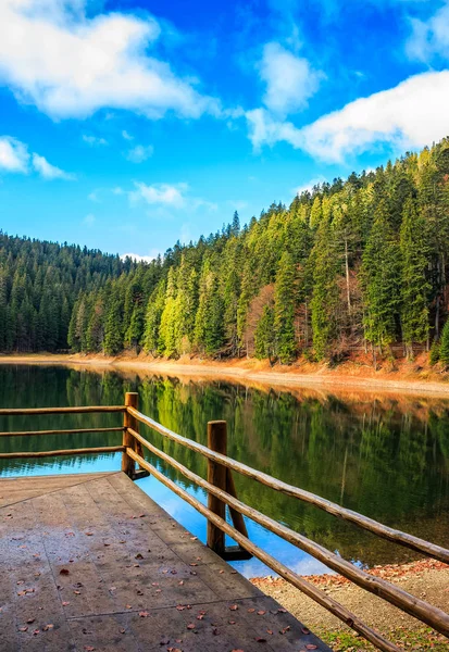 木製の桟橋が湖 Synevir 国立公園内の山に — ストック写真