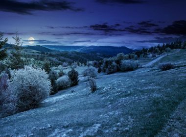 Geceleri kırsal alanda bir dağ yamaca orman
