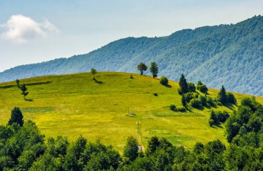 çimenli tepe yaz aylarında dağ üzerinde