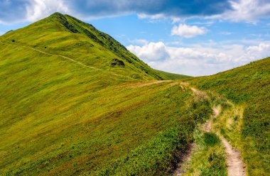 bir çayır dağ tepe için yol