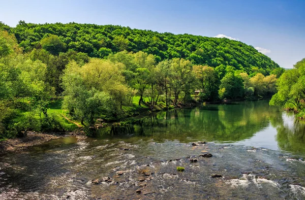 Rio entre a floresta em pitorescas montanhas dos Cárpatos em su — Fotografia de Stock