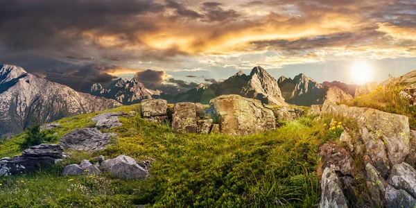 Pissenlits parmi les rochers des Hautes Tatras — Photo