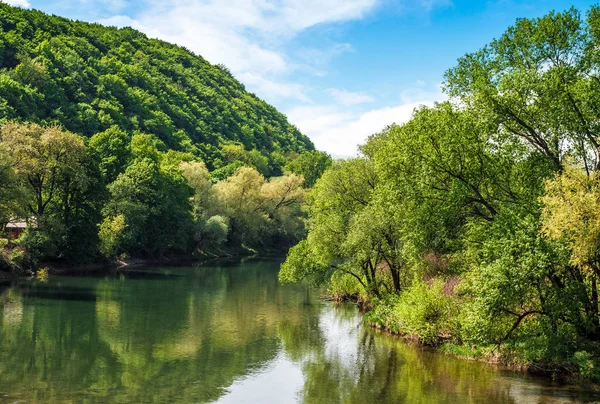 Rivière au milieu de la forêt dans les montagnes pittoresques des Carpates à su — Photo