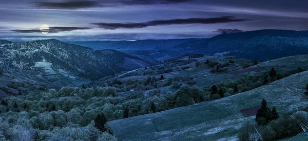 Les na svahu hory ve venkovské oblasti v noci — Stock fotografie