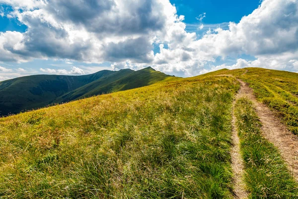 Path through a meadow to mountain peak — Stock Photo, Image