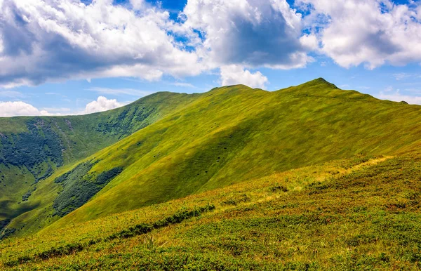 Bir çayır dağ tepe için yol — Stok fotoğraf