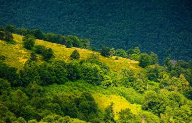 çimenli tepe yaz aylarında dağ üzerinde