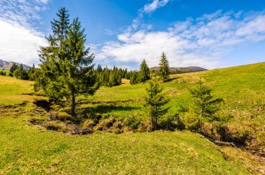 dağ dere çayır orman arasında
