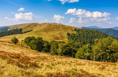 Karpat dağ silsilesi içinde yaz