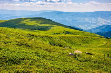 çimenli tepe yaz aylarında dağ üzerinde