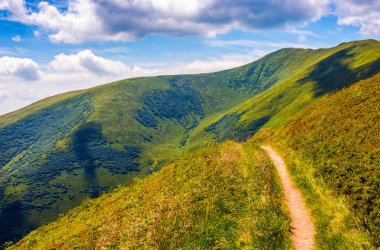 bir çayır yamaca yol