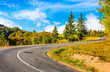 serpentine gündoğumu, dağlarda ağaçlarda