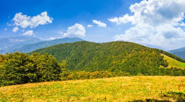 dağ aralığının yamaca sonbahar çayır