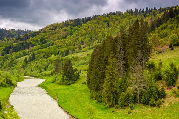 Rivier onder het bos in pittoreske Karpaten in su — Stockfoto