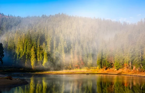 Bergsee an nebligem Morgen im Fichtenwald — Stockfoto