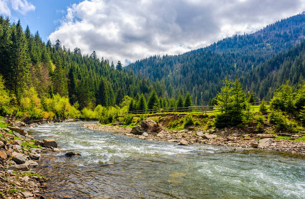 Река среди лесов в живописных горах весной
