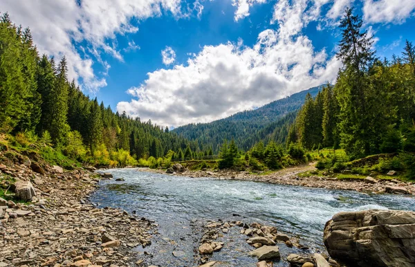 Río entre el bosque en pintorescas montañas en primavera — Foto de Stock