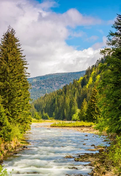 Rapid mountain river in valley — Stock Photo, Image