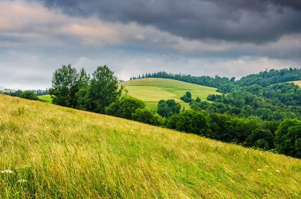 Campagne paysage d'été avec champ, forêt et montagne débarrasser — Photo