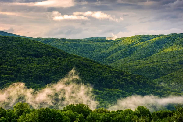 Foggy mountain ridge over the forest in springtime — Stock Photo, Image