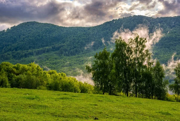 Mlhavo horský hřeben nad lesem v jarní — Stock fotografie