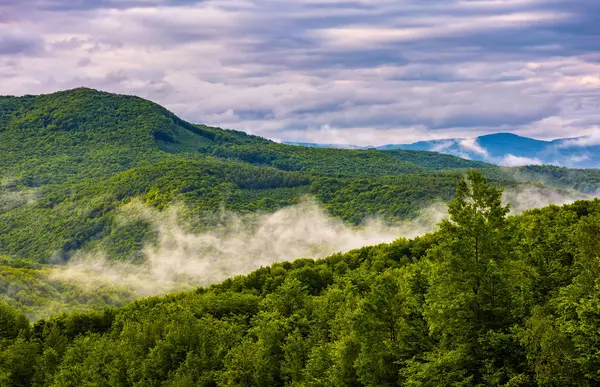 Cume de montanha nebulosa sobre a floresta na primavera — Fotografia de Stock