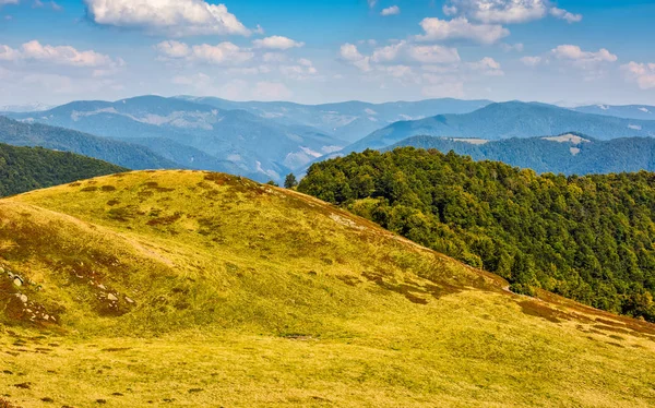 Karpaterne Mountain Range i sensommeren - Stock-foto