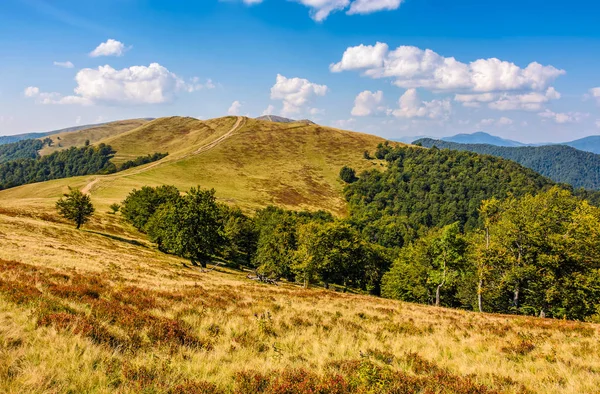 Karpat dağ silsilesi içinde yaz