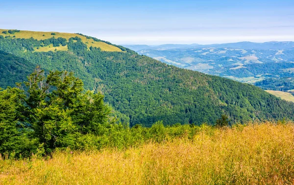 Paisaje rural de verano con campo, bosque y montaña — Foto de Stock