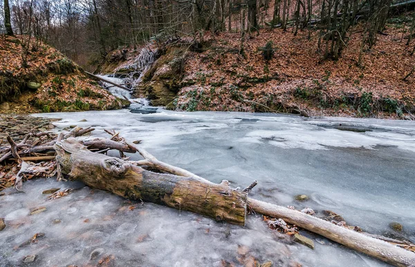 Cascata congelata nella foresta — Foto Stock