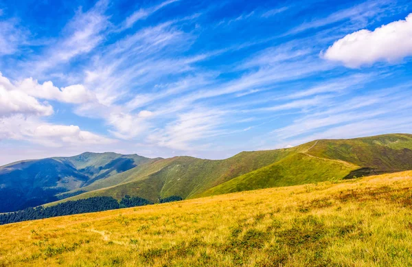 Dağ sırtı yamaca otsu çayır — Stok fotoğraf