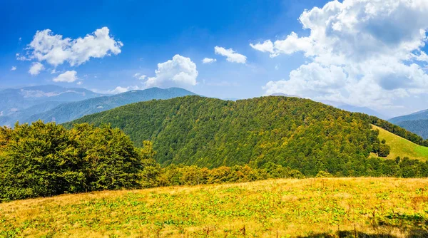 Hösten äng på sluttningen av bergskedjan — Stockfoto