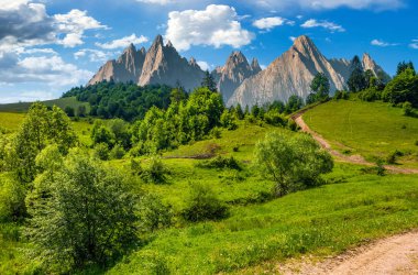Orman tatras çimenli yamaca