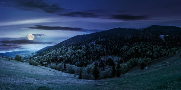 Prado com árvores nas montanhas à noite — Fotografia de Stock