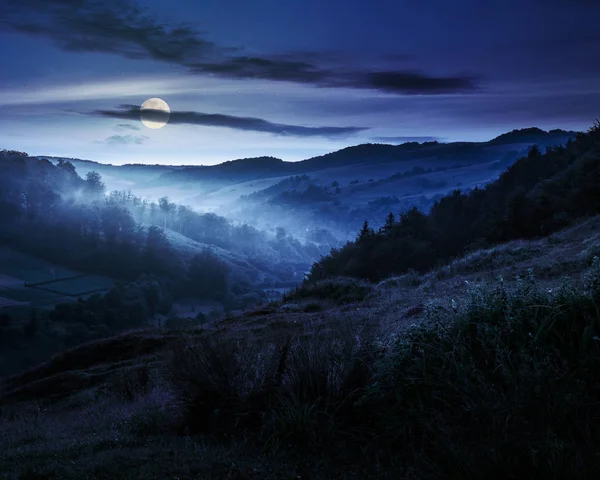 Encosta nebulosa na área rural à noite — Fotografia de Stock