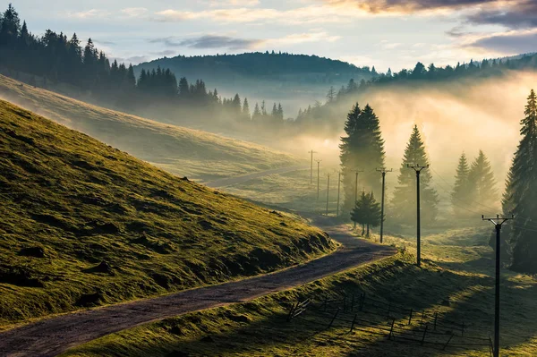 Landstraße durch nebligen Wald in den Bergen — Stockfoto