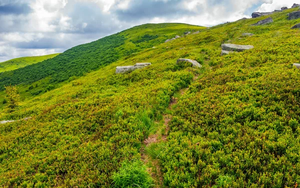 Passo a passo através do cume da montanha — Fotografia de Stock